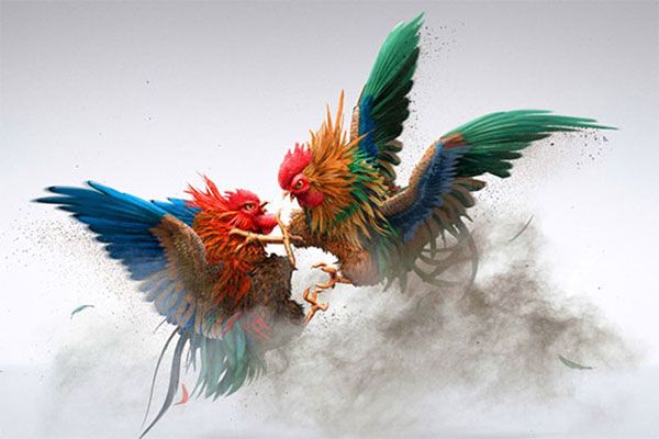 Bosslot138 Sabung Ayam: Tradisi Pertarungan Kini Hadir dalam Format Digital